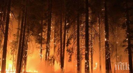 задържаха заподозрян пожара остров лерос