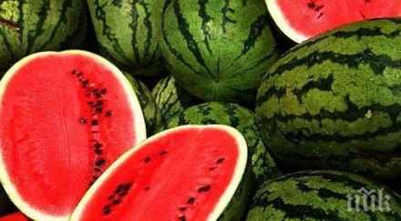 силистренско варят мед диня