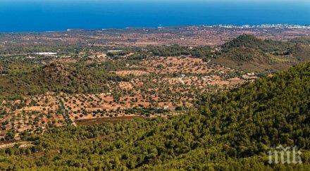 трагедия въздуха хеликоптер малък самолет катастрофираха жертви ранени