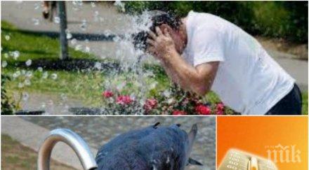 жегите продължават слънцето грее щедро температурите достигнат градуса