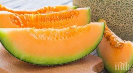 пъпешът мощен убиец рака