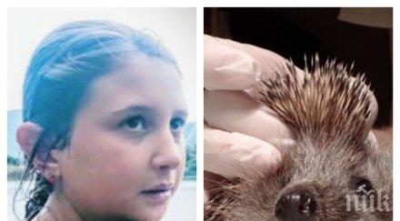 смолянско езеро храбро момиче спаси сигурна смърт таралеж оплетен рибарска мрежа снимки