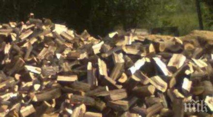 цената дървата скача заради свинската чума