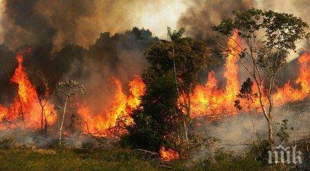 две години пожара симитли кресна голямата екокатастрофа нас насам
