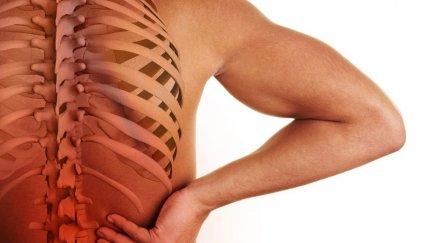 дискови хернии тръшват активните хора