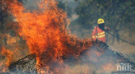 продължава борбата горските пожари боливия