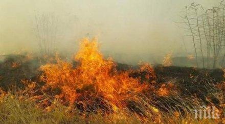 мъж обгоря запалено хирургии стърнище