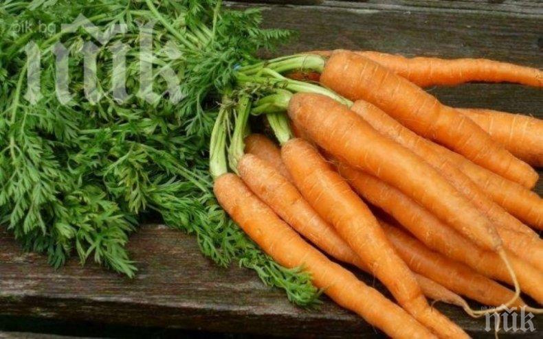 Хвърлете очилата с рецепта с моркови