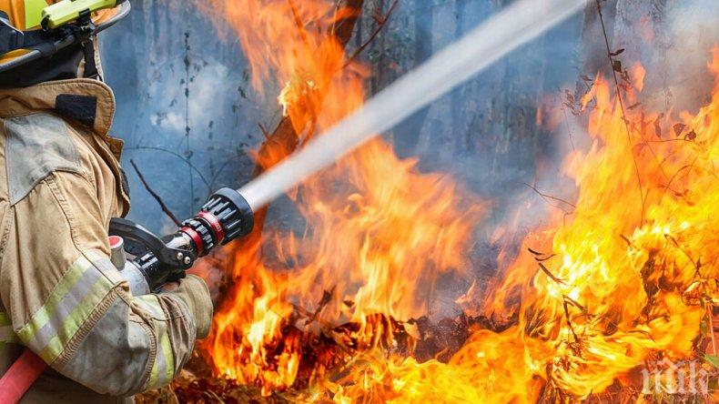 ОГНЕН АД: Голям пожар пламна край Охрид