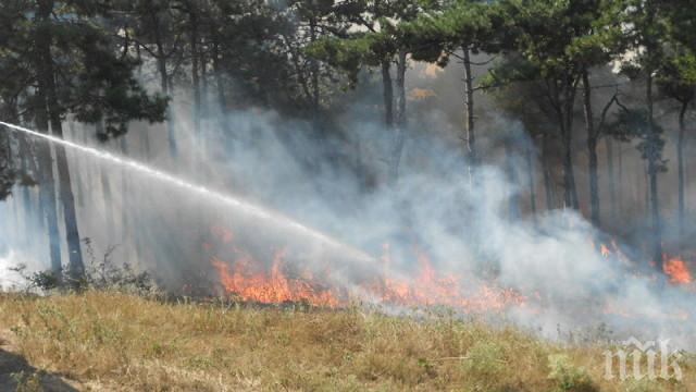 ОТ ПОСЛЕДНИТЕ МИНУТИ: Голям пожар пламна в Странджа планина