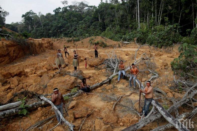 Индианците в Амазония се борят за оцеляване