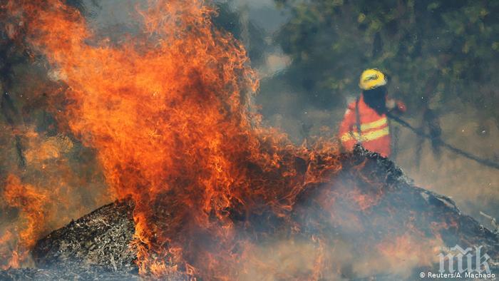 Продължава борбата с горските пожари и в Боливия