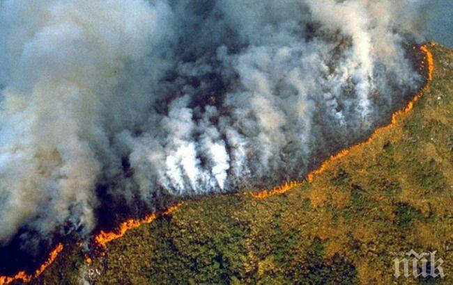 Лидерите от Г-7 са близо до споразумение за справяне с пожарите в Амазония