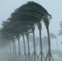 СТИХИЯ: Ураганът 