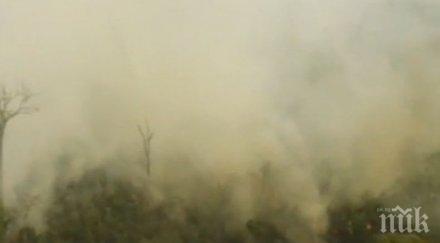 огнен броят пожарите амазонската джунгла продължава расте