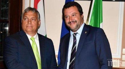 виктор орбан силна подкрепа салвини брат оръжие