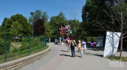 зелена библиотека откриват парка гео милев