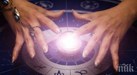 домашно гадаене семена показва бъдещето