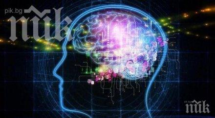 генетична мутация прави будни караконджули