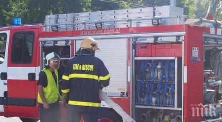 горски служители пожарникари предотвратили разрастването процента горските пожари август