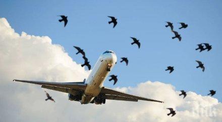 руски лайнер приземи принудително сблъсък ято