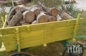 задържаха бракониер дървосекач