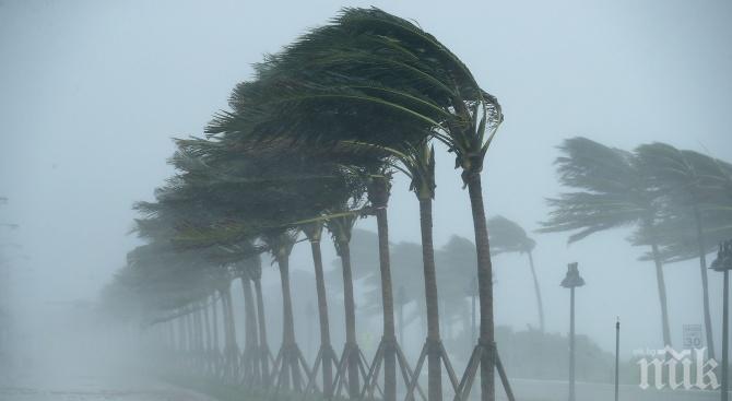 Ураганът Дориан набира сили, докато Флорида се подготвя за чудовищната буря