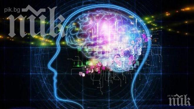 Генетична мутация ни прави будни караконджули