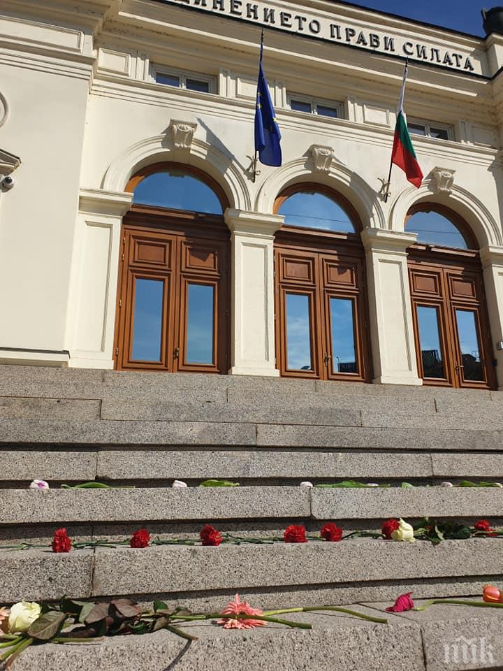 ПАРЛАМЕНТЪТ ОСТАВА БЕЗ ТОК: Всички информационни и комуникационни системи ще бъдат изключени