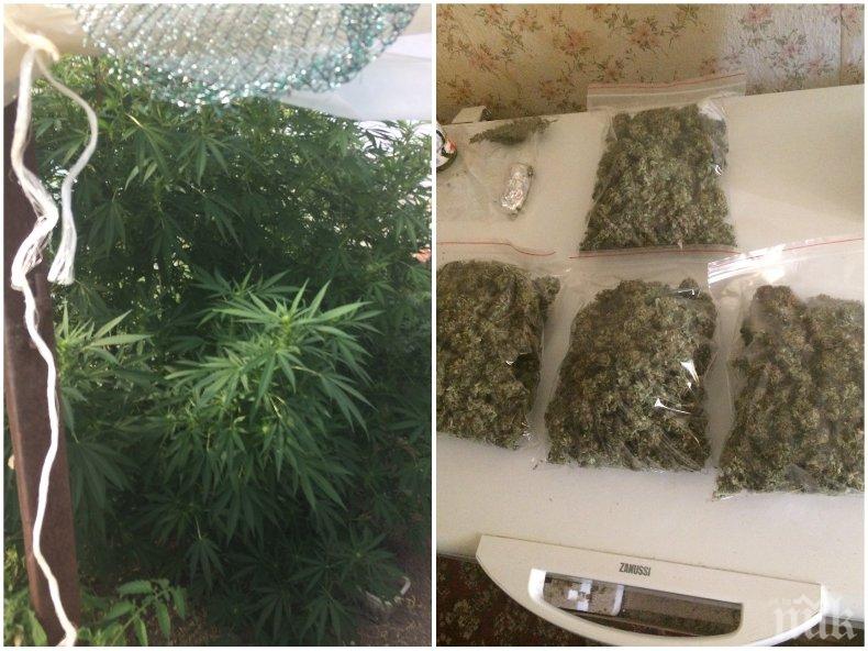 Откриха наркотици в къщата на мъж от сливенско село 
