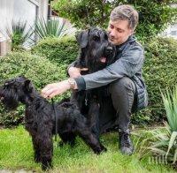 ГЕНЧО-МАНЕКЕНЧО: Кучето на Владо Карамазов стана звезда и обра куп награди на престижен конкурс