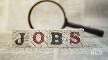 Евростат: Рекордно ниската безработица се запазва в ЕС