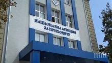 Ето как може да проверите какви данни са изтекли от НАП