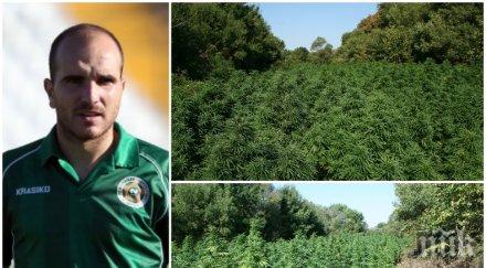 удар бургаски футболист сред задържаните наркоплантацията созопол