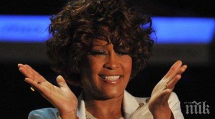 възкресение уитни хюстън турне великобритания