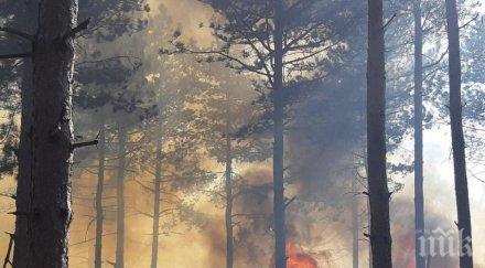 опасност пожари области страната