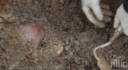 откриха човешки скелети апартамента диктатора алфредо стреснер