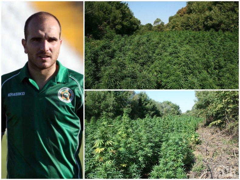 УДАР: Бургаски футболист сред задържаните за наркоплантацията край Созопол