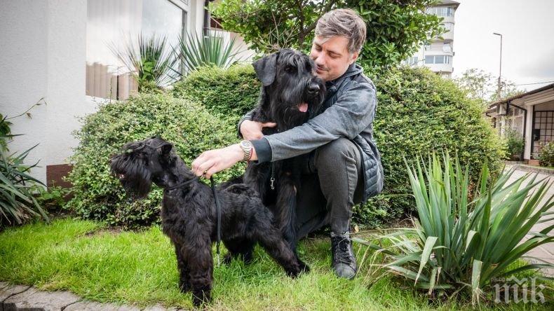 ГЕНЧО-МАНЕКЕНЧО: Кучето на Владо Карамазов стана звезда и обра куп награди на престижен конкурс