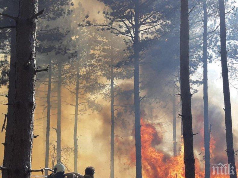 Опасност от пожари в 20 области на страната днес 