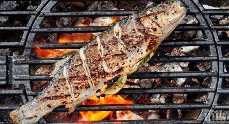 Непоносимост: Австралийка заведе съдебен иск срещу съседа си заради...