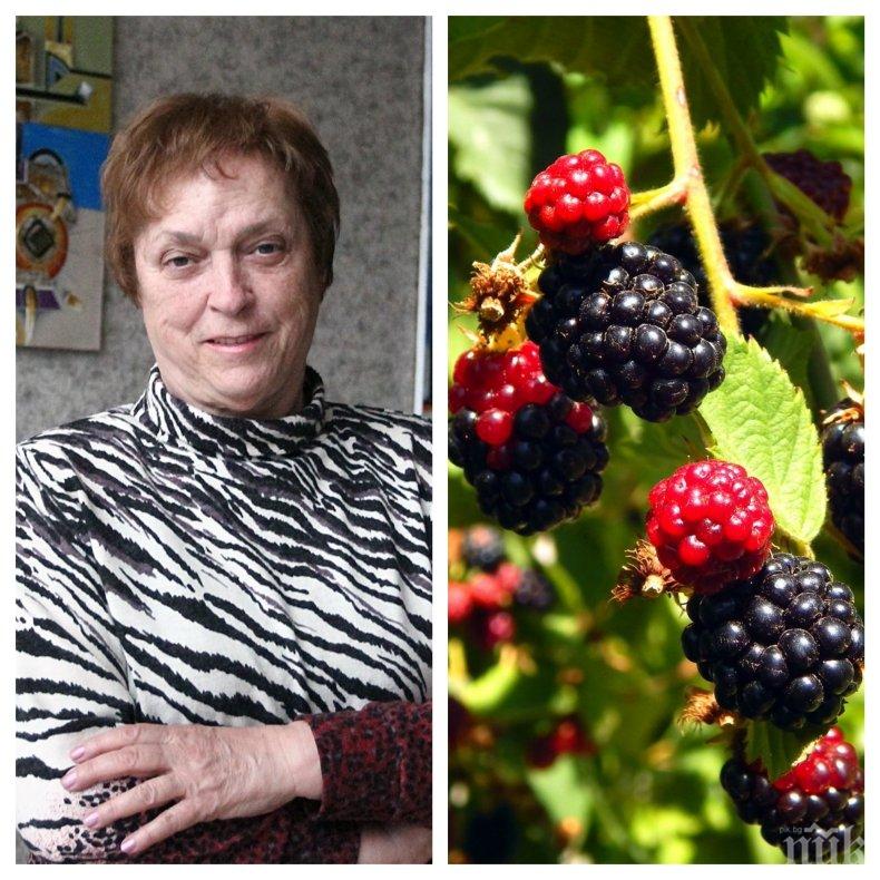 ЗАРАДИ ХРАСТ С КЪПИНИ: Надежда Захариева счупи ръка и възпя фрактурата в рими