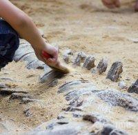 Японски учени откриха неизвестен динозавър