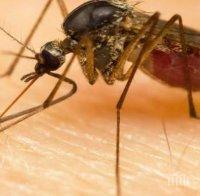 Болест от комари тръшна земеделския министър на Непал 