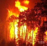 ИЗВЪНРЕДНО: Пожар избухна в гората край язовир 