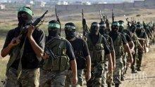 "Хизбула" обяви, че са свалили израелски дрон