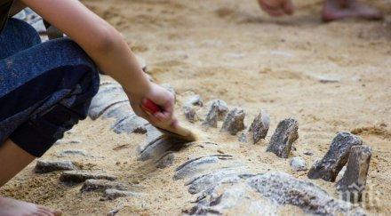 японски учени откриха неизвестен динозавър