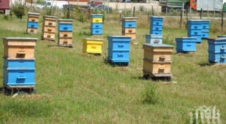 пожар изпепели 170 кошера пловдив