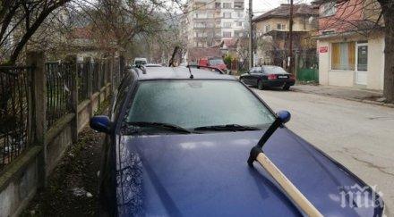 кирки цъфнаха капаците две коли монтана