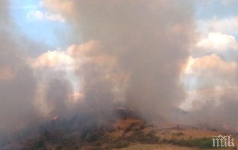 Пожарът край язовир Брягово бе потушен